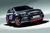 Audi Q5 Custom Concept - La Worthersee Tour 2009