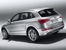 Audi Q5 S-Line