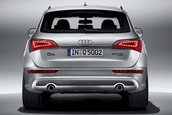 Audi Q5 S-Line