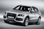 Audi Q5 S-Line
