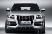 Audi Q5 S-Line