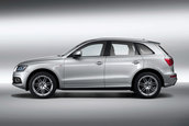 Audi Q5 S-Line