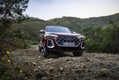 Audi Q5 Sportback - Galerie foto