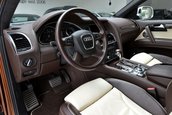 Audi Q7 V12 TDI de vanzare