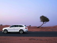 Audi Q7 V12 TDI intra in productia de serie