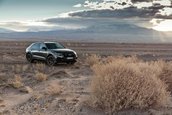 Audi Q8 50 TDI S line