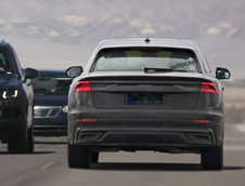 Audi Q8 complet necamuflat