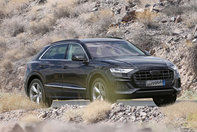 Audi Q8 complet necamuflat