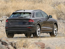 Audi Q8 complet necamuflat