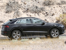 Audi Q8 complet necamuflat