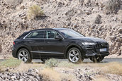 Audi Q8 complet necamuflat