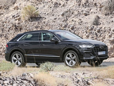 Audi Q8 complet necamuflat