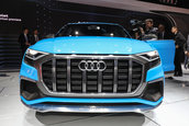 Audi Q8 Concept - Poze reale