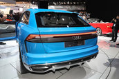 Audi Q8 Concept - Poze reale