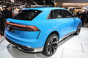 Audi Q8 Concept - Poze reale