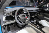 Audi Q8 Concept - Poze reale