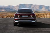 Audi Q8 e-tron si Audi Q8 Sportback e-tron