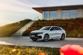 Audi Q8 plug-in hybrid