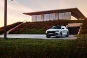 Audi Q8 plug-in hybrid