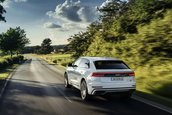 Audi Q8 plug-in hybrid