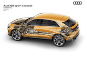 Audi Q8 Sport Concept