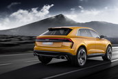 Audi Q8 Sport Concept