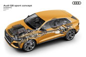 Audi Q8 Sport Concept