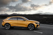Audi Q8 Sport Concept