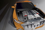 Audi Q8 Sport Concept