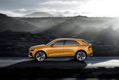 Audi Q8 Sport Concept