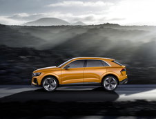 Audi Q8 Sport Concept