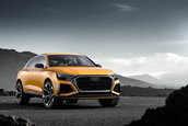 Audi Q8 Sport Concept