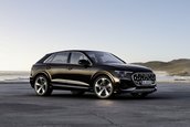 Audi Q8 TFSI e quattro