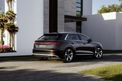 Audi Q8 TFSI e quattro