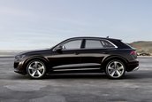 Audi Q8 TFSI e quattro