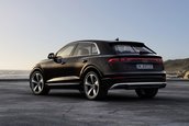 Audi Q8 TFSI e quattro
