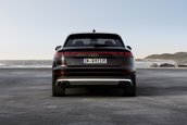 Audi Q8 TFSI e quattro