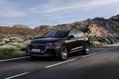 Audi Q8 TFSI e quattro