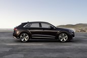Audi Q8 TFSI e quattro