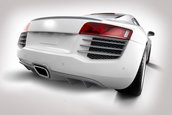 Audi R8 by Eisenmann