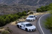 Audi R8 Coupe V10 GT RWD