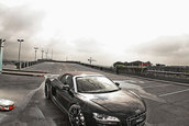 Audi R8 Spyder by Sport-Wheels
