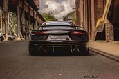 Audi R8 V10 by Edo Competition