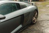 Audi R8 V10 Decennium de vanzare