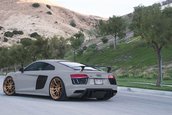 Audi R8 V10 Plus cu jante ADV