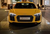 Audi R8 V10 Plus in Vegas Yellow