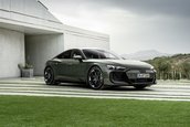 Audi RS e-tron GT performance - Galerie foto