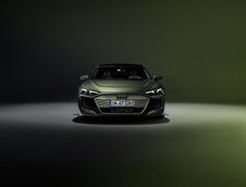 Audi RS e-tron GT performance - Galerie foto