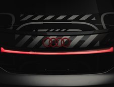 Audi RS e-tron GT project_513/2