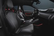 Audi RS Q3 edition 10 years